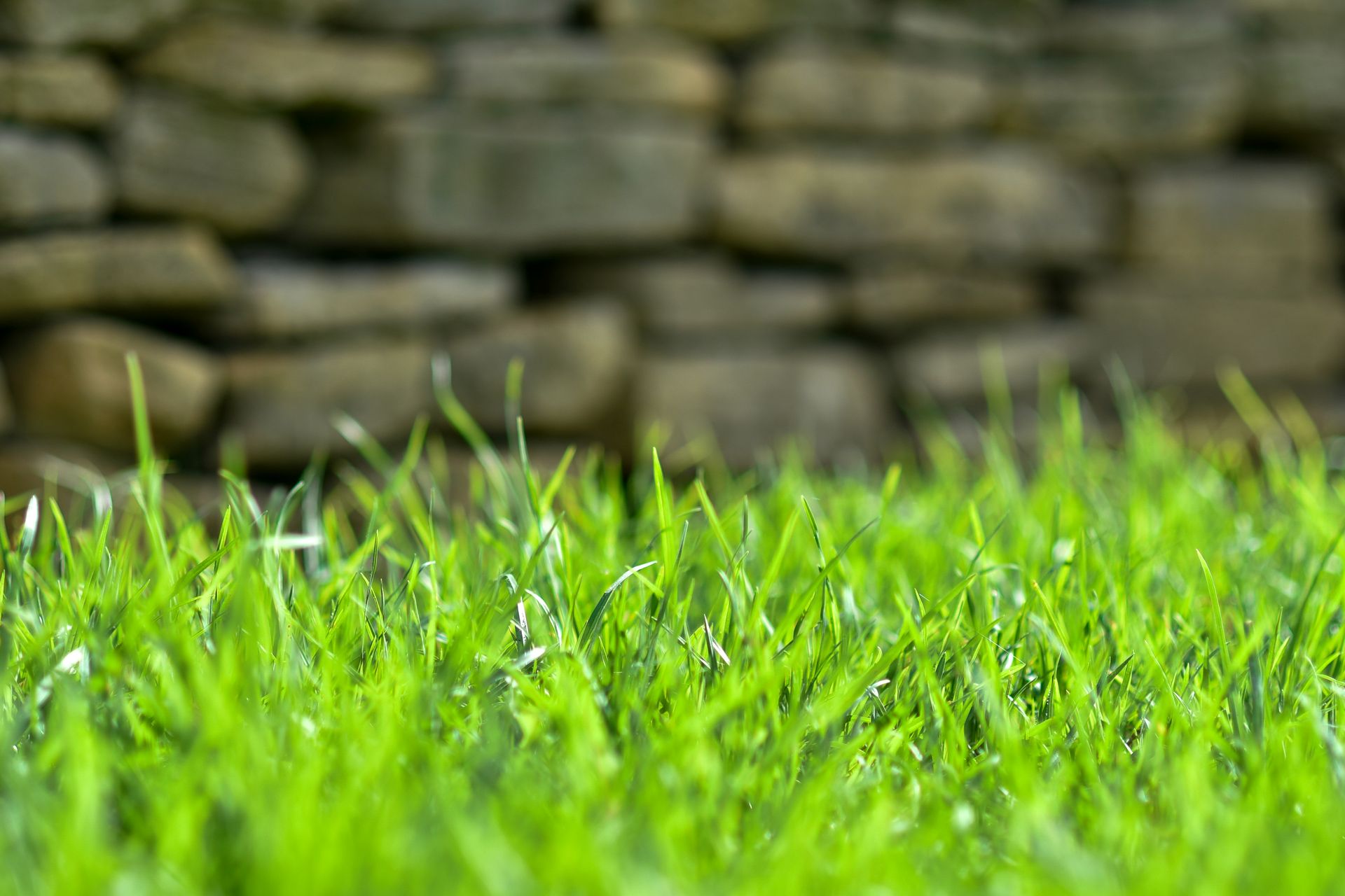 a field of green grass with a stone wall in the background