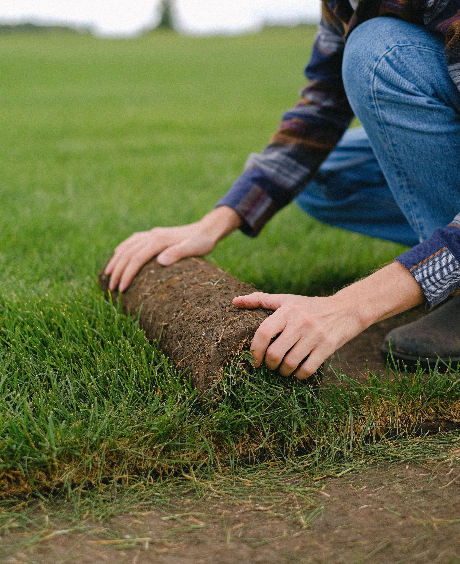 Side view of male worker laying sod grass onto ground for new garden lawn while working in countryside on blurred background