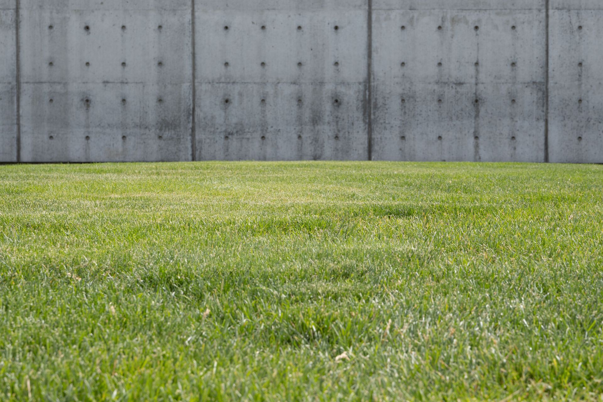 A vibrant green lawn contrasts with a textured concrete wall, evoking modern outdoor aesthetics.